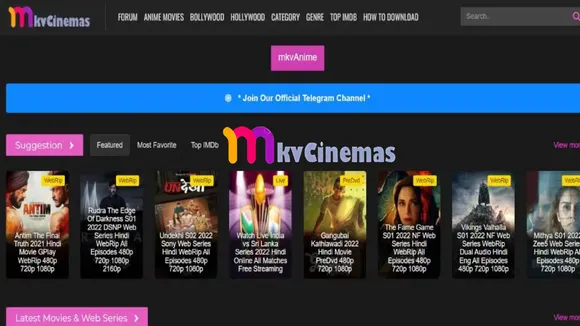 About Mkvcinemas Company Profile Funding & Investors
