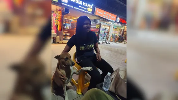 A Plea for Compassion Embracing Our Responsibility Towards Dogs  Ahmedabad - Khushi Bhatt