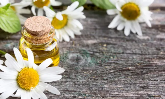 How a Chamomile Essential Oil Can Help Your Hair-fall