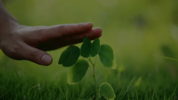 SAVE MONEY AND PROTECT THE ENVIRONMENT