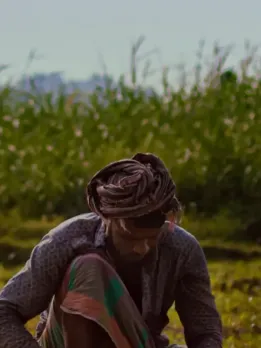 Career opportunity in weed science University Weed Scientist Weed scientists may perform research work as researchers in universities. Crop Protection Industry Crop protection industries hire weed scientists. Farm Advisor For proper cultivation of weeds an advisor is required. Pest Control Advisor Advisor in pest control required for proper maintenance in farms. Certified Crop Advisor CCAs (Certified Crop Advisor) role is to help farmers make important agricultural decisions. Government Researcher One can do research work as a researcher in the government sector. Professional Applicator Professional Applicators are required for testing weed control methods on a specific weed. Custom applicator Maintain and operate all equipment and vehicles (sprayer, spreader, etc.). Weed management Introducing more desirable species in exchange for less desirable invasive species. Educator and Researcher Weed biology and ecology, weed control and management techniques, and he