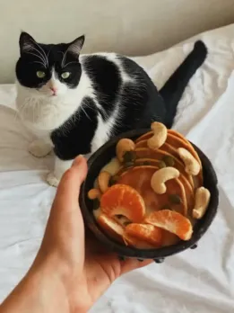 Career opportunities in Animal Physiologist