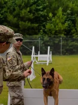 Career opportunities in Veterinarian Veterinary careers Research Veterinarians are needed in pharmaceutical, corporate, university, and government labs. Private Practise Private vets treat pets. Diagnostic labs are owned by veterinary or medical teaching hospitals or privately. Consultation These vets advise dairy, poultry, and meat processors. They work with ASPCA, shelters, and humane charities. Education Professors are veterinarians. Health and Medicine Public health veterinarians monitor livestock disease, meat, poultry, and dairy products, and interstate animal transport. Army/Air force Army and Air Force veterinarians treat government animals, inspect food, and protect military personnel. Laboratory veterinarians Laboratory animal veterinarians care for research animals. Cell biologists Molecular biologists study disease, immunity, health, and lifespan. Ag Dept. USDA vets dominate. They prevent infections and parasites.