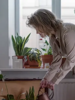 Career opportunities in Ecologist Biologists study genes and animals. They construct and analyse DNA. Ecologist Conservationists learn about human impacts from ecologists. Arboricultural officer Municipal councils and arboricultural contractors hire arborists. Tree surgeon Tree surgeons assess tree health, remove branches, plant new stock, and fell dangerous trees. Forest worker Foresters plant, manage, harvest, and maintain woodlands. Horticultural worker Horticulturists tend parks and sell plants at garden shops. Gardener Gardens and parks are maintained by gardeners. Landscaper Landscapers create and maintain outdoor spaces. Gardening therapist Horticultural therapy involves gardening. Marine biologist Global marine biologists! Marine biologists study aquatic life.