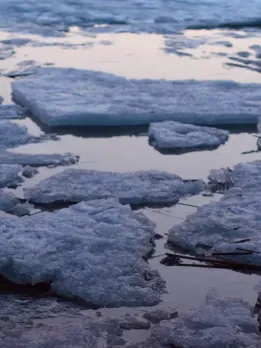 Career opportunities in Climatologist Climatologist careers Meteorologists Meteorologists study sky. They forecast. NASA hires them. Atmospheric Scientist Climate scientists study, solve, and collect data. Atmospheric scientists earn 9.5 LPA INR. Weather forecaster Farmers, windmills, and others use weather forecasters. They make 460 INR/hour or 9.5 LPA. Atmospheric chemist They collect air pollution and atmospheric data from fieldwork. Hurricane trackers The hurricane tracker lets users view satellite photos and track this season's hurricanes. Climate scientists Climate scientists study future climate change impacts. TV meteorologists Meteorologists give TV, radio, and online forecasts. Atmospheric physicists These scientists study how the atmosphere affects weather, pollution, and environment. Architect Climatologist Climatologists build offices, bridges, flyovers, and homes. Private architectural farms need climatologists. Earth and meteorology teachers teach climatology.