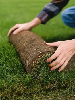 Career opportunities in Turf scientist Turf scientist careers Field Manager Sports pitch managers construct and maintain them.They prepare the sports pitch. Horticulturist Garden horticulturists manage gardens, forests, and other landscapes. Irrigation expert Irrigation specialists help farmers grow better crops. Landscape technician Landscapers maintain property plants. Landscape designers design, exhibit, and manage landscapes for individuals and businesses. Golf superintendent Responsible for golf course management. Club management Strategically assessing each hole and shot. Turf management Sports turf managers maintain fields and courses. Lawn care Turfgrass Management teaches science and culture.