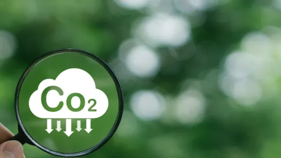 The Criteria to Help You Choose an Optimal Carbon Offsetting Provider