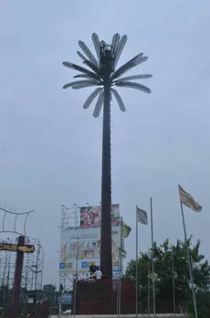 Indus Towers Camouflaged Palm Tree min