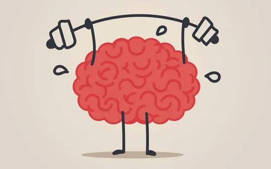 brain