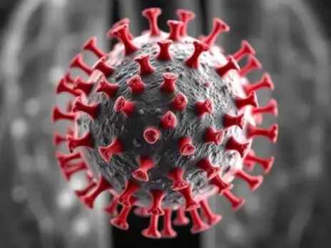 HMPV Virus 