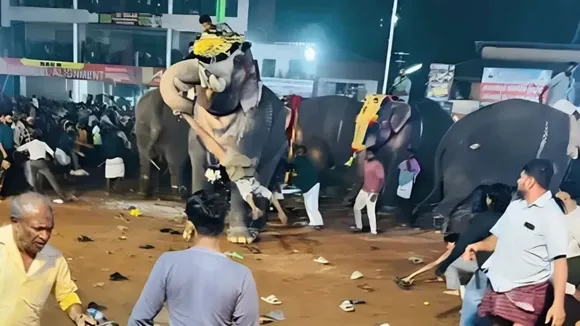 Angry elephant