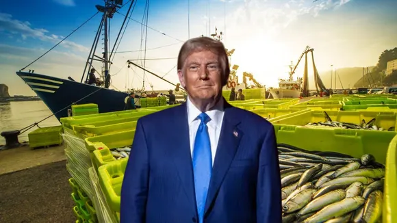 TRUMP FISH