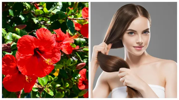 Hibiscus for hair