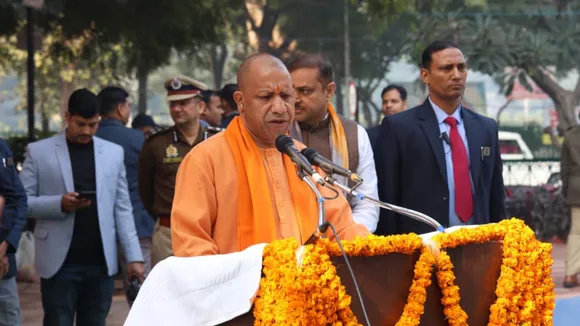 yogi