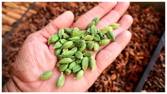 green cardamom