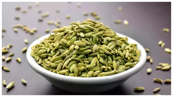 Fennel