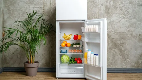 Fridge