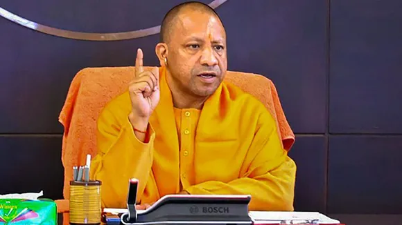 yogi