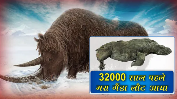 32000 YEARS GAINDA