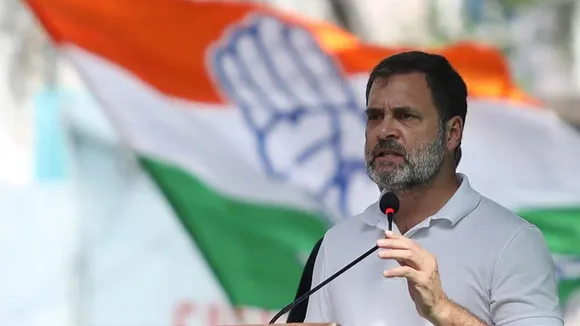 congress , delhi election, rahul gandhi