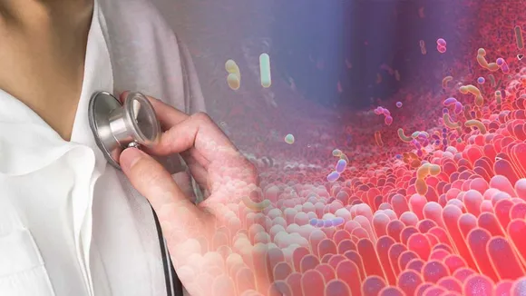 Gut Bacteria 