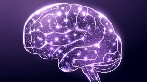 Cerebral Cortex