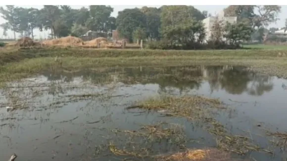 ग्रामीण तालाब 