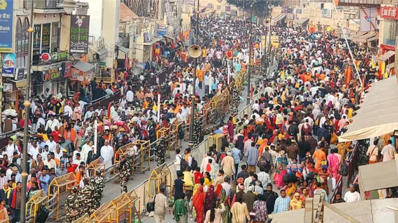 crowd 