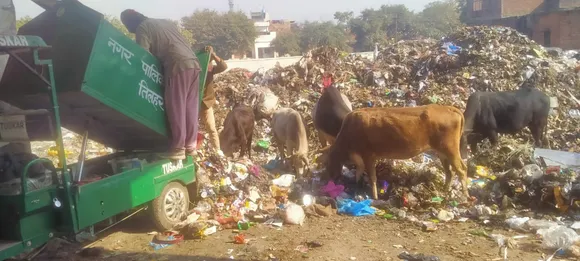 मनमानी