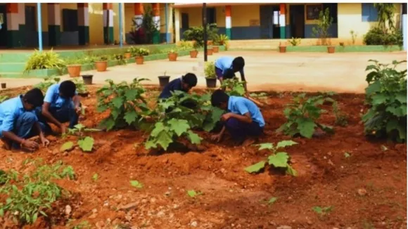 ऑर्गेनिक खेती