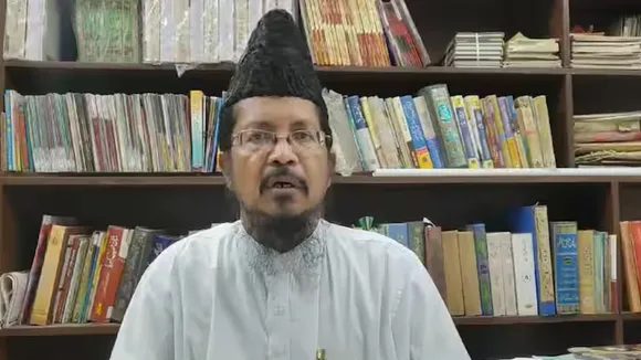 maulana rizvi