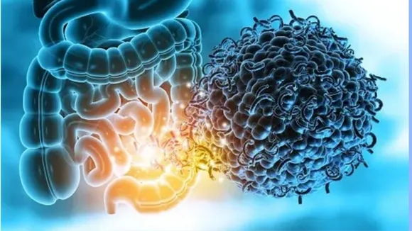 gut