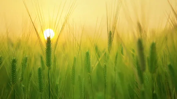 GOOD MORNING MORADABAD:  जानते हैं आज अपने मुरादाबाद में क्या खास होने वाला है ?