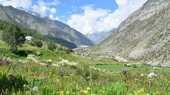 Tibet