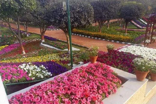 DELHI 