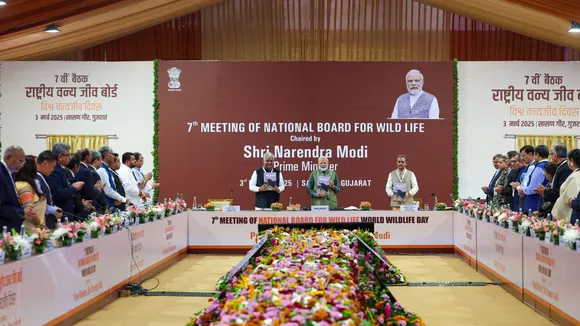 wildlife board
