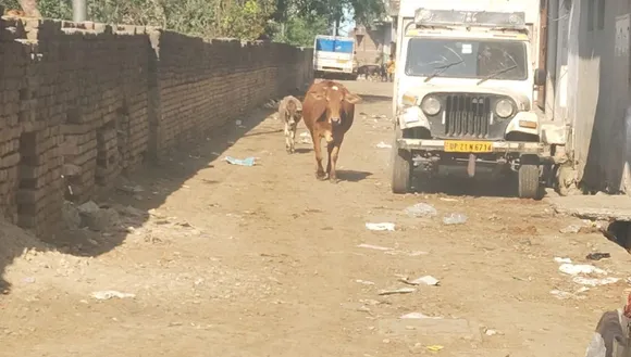 वाा