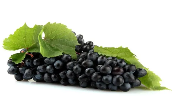 BlackgrapeShikanji