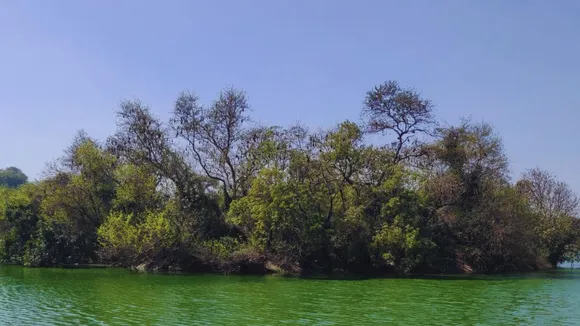 hauz khas 