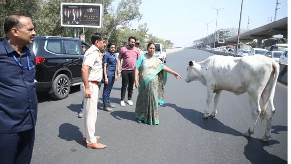 Delhi की सफाई पर निकली CM साहिबा, मेट्रो के खंभों और सड़कों से हटवाए पोस्टर
