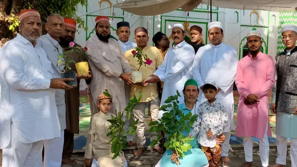 plantation