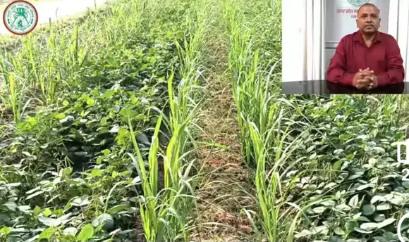 शाहजहांपुर 