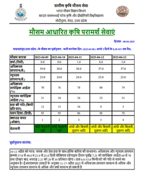शाहजहांपुर न्यूज 