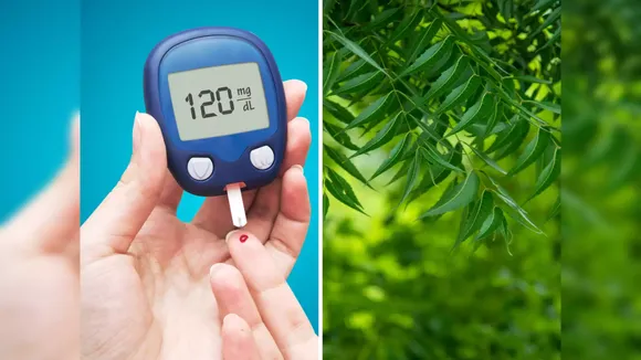 Neem 