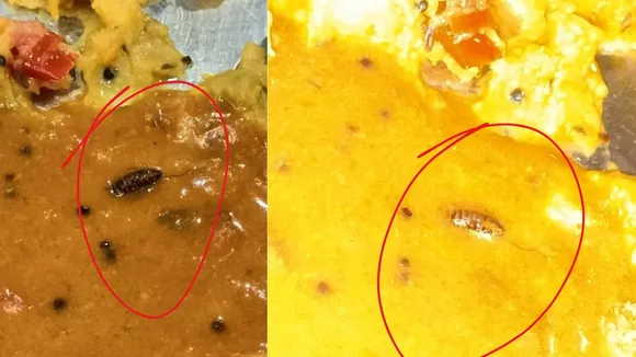 फोटो जर्नलिस्ट सुनील कुमार
