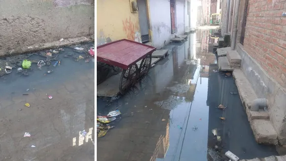 कानपुर के वार्ड-35 का हाल बेहाल है। 