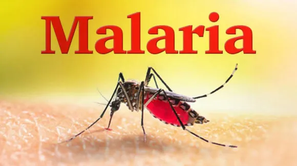 Operation malaria