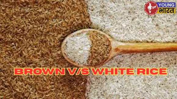 Brown & white rice