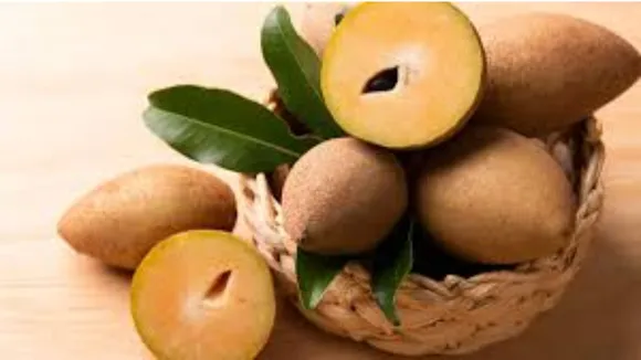 Fruit