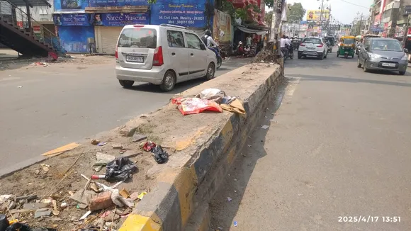 पटेल चौक पर डिवाइडर पर लगे पौधे सूखे